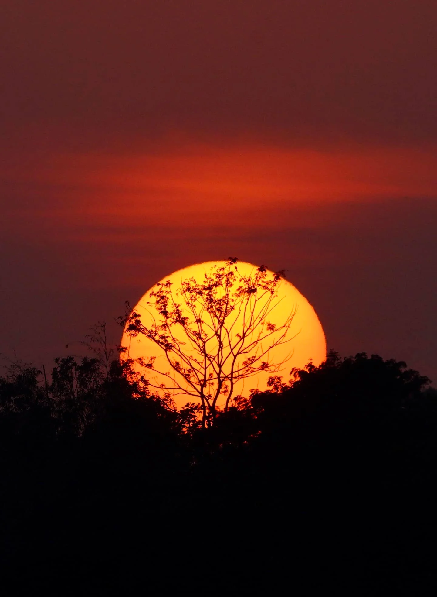 Social impact image 2